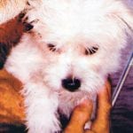 article image - 